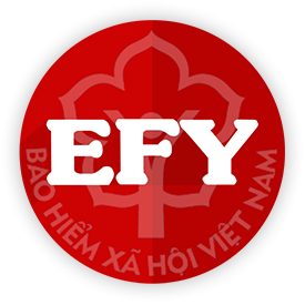 Phần mềm BHXH EFY_1 NĂM 1- 100 NLĐ